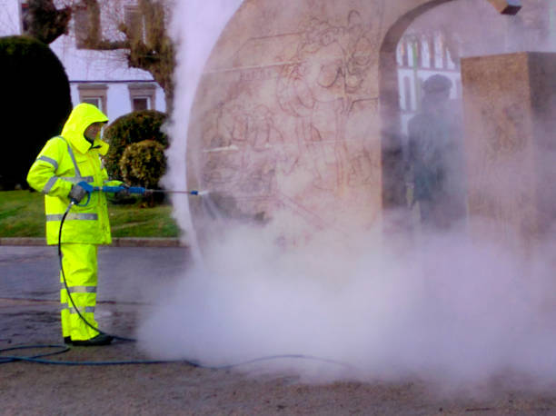 Best House Pressure Washing  in Ara, AL