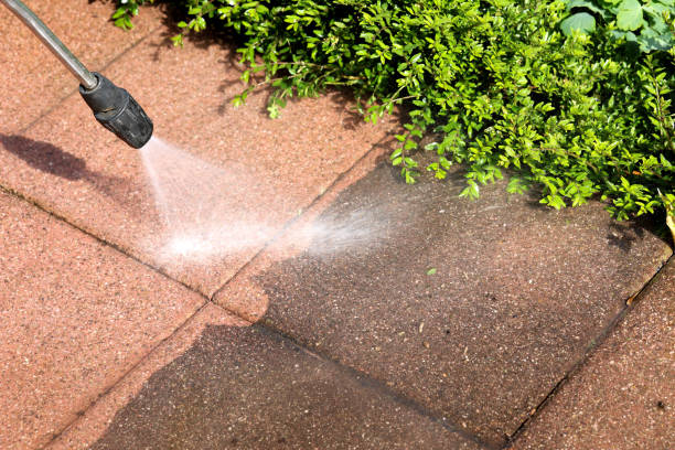 Best Residential Pressure Washing Services  in Ara, AL